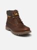 Caterpillar Bottines et boots COLORADO 2.0 WP pour Homme Male 40 933650-60-92