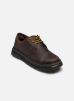 Dr. Martens Chaussures à lacets Crewson Low pour Homme Male 40 31670201