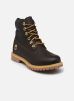 Timberland Bottines et boots 6 INCH LACE UP WATERPROOF BOOT CAPSULE CO pour Femme Female 36 TB0A2HR8EXU1