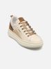 NeroGiardini Baskets I411592D pour Femme Female 36 I411592D/710