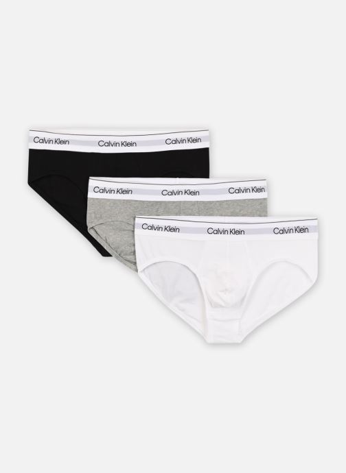 Vêtements Calvin Klein Hip Brief 3Pk 000NB3962A pour  Accessoires