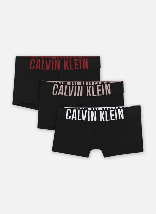 Vêtements Calvin Klein Low Rise Trunk 3Pk 000NB3611A pour  Accessoires