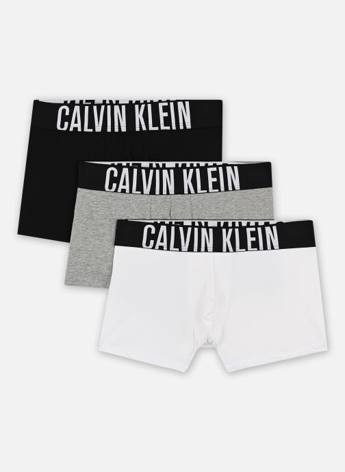 Vêtements Calvin Klein Trunk 3Pk 000NB3608A pour  Accessoires