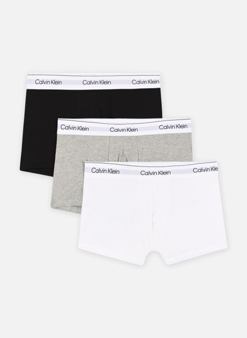 Vêtements Calvin Klein Trunk 3Pk 000NB3963A pour  Accessoires