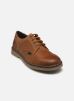 Kickers Chaussures à lacets KICK LARRY pour Homme Male 42 975272-60-114