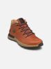 Timberland Bottines et boots Sprint Trekker Mid H pour Homme Male 40 TB0A6DQDEJD1