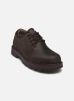 Timberland Chaussures à lacets BRITTON ROAD LACE UP WATERPROOF SHOE pour Homme Male 40 TB0A69T9W011