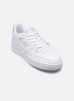 Lacoste Baskets L001 W pour Femme Female 37 48SFA002421G