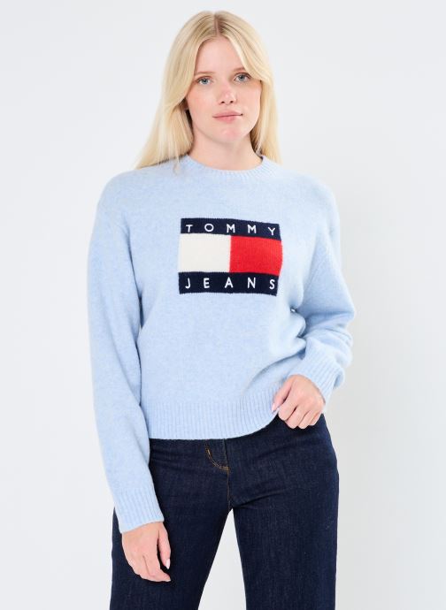 Vêtements Tommy Jeans Tjw Melange Flag Swe DW0DW18681 pour Accessoires