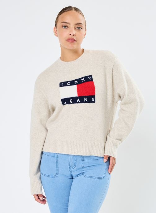 Vêtements Tommy Jeans Tjw Melange Flag Swe DW0DW18681 pour  Accessoires