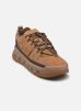 UGG Baskets M CAPTRAIL LOW pour Homme Male 41 1158252-CHE