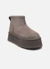 UGG Bottines et boots W Classic Mini Dipper pour Femme Female 41 1168170-THND