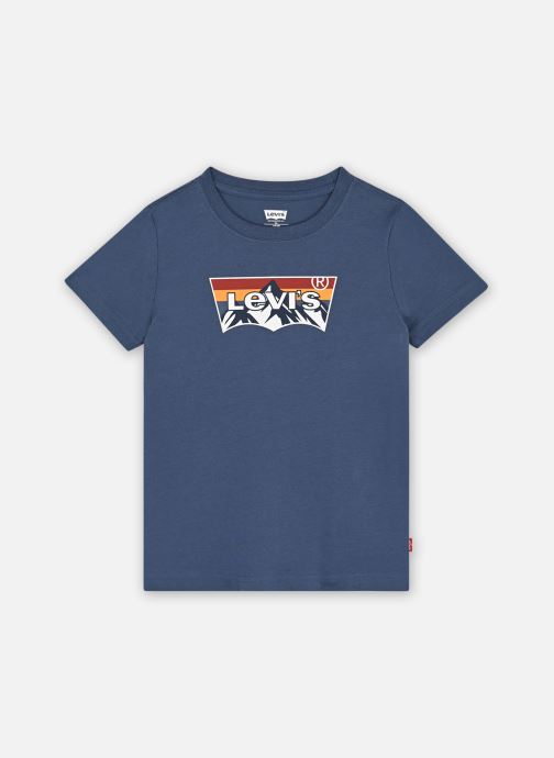 Vêtements Levi's Kids Levi's Mountain Batwing Tee pour  Accessoires