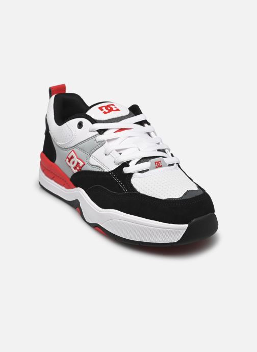 Baskets DC Shoes Dc Ascend pour  Homme