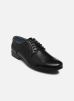 MADE BY Chaussures à lacets THOLIO pour Homme Male 41 3HH0050301 2100 HF Black pu