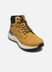 Schott Bottines et boots BIRMI-M pour Homme Male 41 W24SCJOE028M