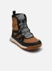 Sorel Bottes YOUTH WHITNEY™ II PLUS LACE WP pour Enfant Male 32 2088591286