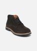 Bugatti Bottines et boots Clove pour Homme Male 40 331-83736-1100