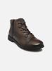 Bugatti Bottines et boots Cliffton pour Homme Male 40 321-A0U3L-1100