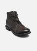 Bugatti Bottines et boots Class pour Homme Male 40 321-6113T-1100