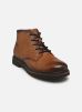 Bugatti Bottines et boots Client pour Homme Male 40 331-AON31-6300