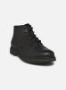 Bugatti Bottines et boots Client pour Homme Male 40 331-AON31-1000