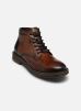 Bugatti Bottines et boots Cliff pour Homme Male 41 331-AO930-6361