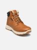 Kimberfeel Bottines et boots AARON pour Homme Male 42 Aaron/Beige