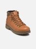 Kimberfeel Bottines et boots GASPARD pour Homme Male 40 Gaspard/Camel