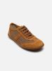 El Naturalista Baskets Viajero N5293 pour Femme Female 36 N5293/Toffee