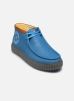 Clarks Baskets TorhillExplore Pokemon pour Homme Male 40 26182497