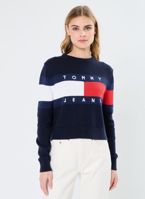 Vêtements Tommy Jeans Tjw Center Flag Swea DW0DW19335 pour Accessoires