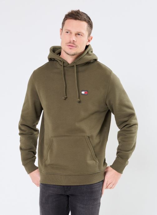 Vêtements Tommy Jeans Tjm Reg Badge Hoodie DM0DM20258 pour Accessoires