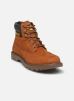 Caterpillar Bottines et boots COLORADO 2.0 G pour Homme Male 39 976050-60-9