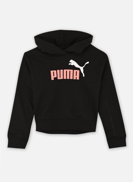 Vêtements Puma ESS 2 COLOR No. 1 Logo? Short Length Hoodie TR G pour Accessoires