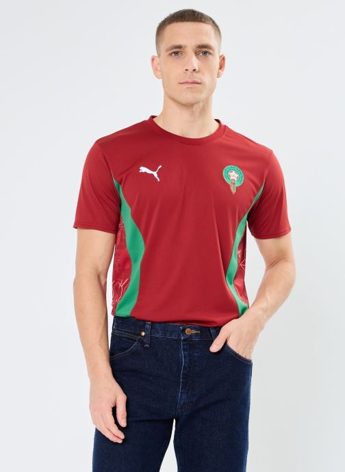 Vêtements Puma FRMF Prematch SS Jersey pour Accessoires