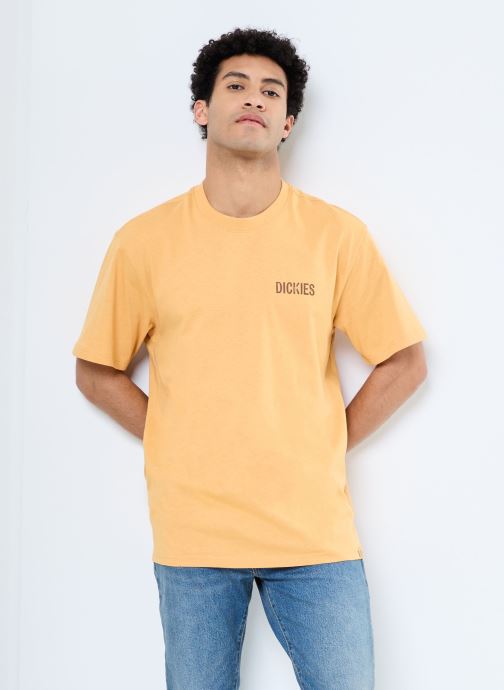 Vêtements COMPANION SS TEE pour Accessoires - Dickies - Modalova