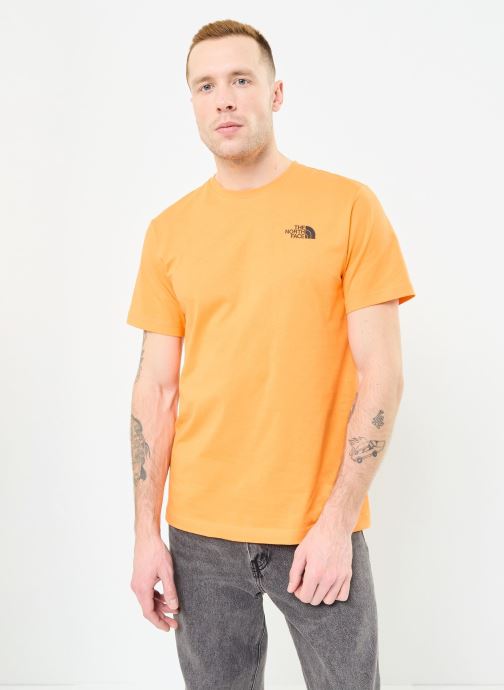 Vêtements The North Face M S/S BOX NSE TEE pour Accessoires