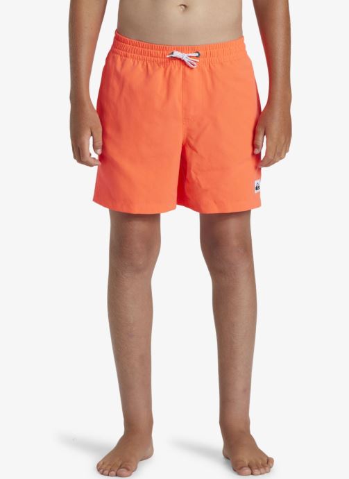 Vêtements Quiksilver Everyday Solid Volley Yth 14 EQBJV03517 pour Accessoires