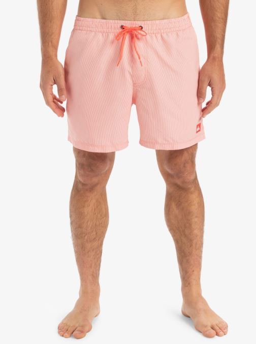 Vêtements Quiksilver Everyday Deluxe Volley 15 EQYJV04101 pour Accessoires