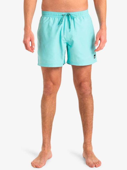 Vêtements Quiksilver Everyday Solid Volley 15 EQYJV04120 pour Accessoires