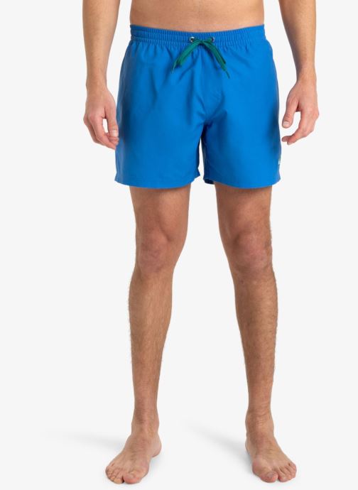 Vêtements Quiksilver Everyday Solid Volley 15 EQYJV04120 pour Accessoires