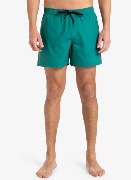 Vêtements Quiksilver Everyday Solid Volley 15 EQYJV04120 pour Accessoires