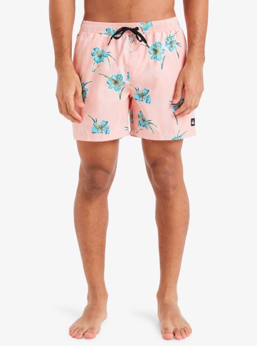 Vêtements Quiksilver Everyday Straight Volley 15 EQYJV04121 pour Accessoires