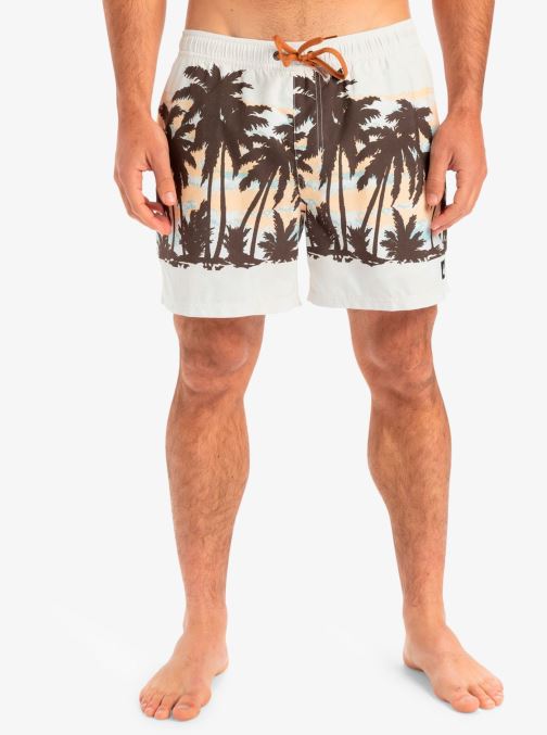 Vêtements Everyday Straight Volley 15 EQYJV04121 pour Accessoires - Quiksilver - Modalova