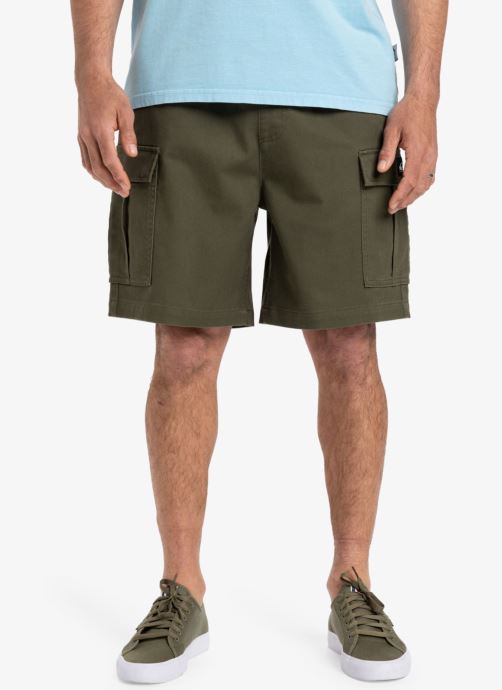Vêtements Quiksilver Taxer Cargo Ws EQYWS03879 pour Accessoires