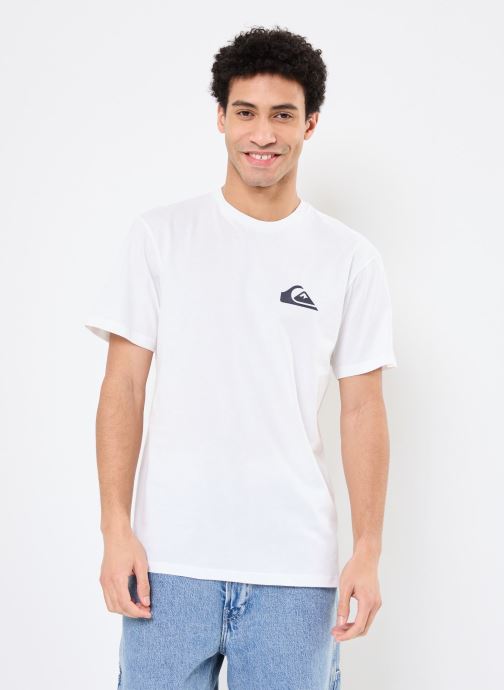 Vêtements Quiksilver Ev Mini Logo Ss EQYZT08042 pour Accessoires