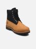 Timberland Bottines et boots HRTG 6 IN LACE WATERPROOF BOOT WHEAT pour Homme Male 40 TB0A6EASEJS1