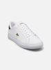 Lacoste Baskets POWERCOURT M pour Homme Male 40 49SMA00811R5