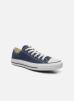 converse basse bleu femme